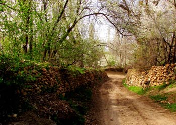 اقامتگاه های بوم گردی سهرورد - استان زنجان : عکس ها، رزرو آنلاین، بهترین  قیمت