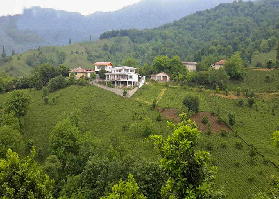 روستای میلاش | بهترین روستاهای استان گیلان برای زندگی | می هتل؛ بهار گیلان