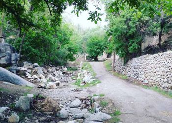 تصویر روستای طزرجان